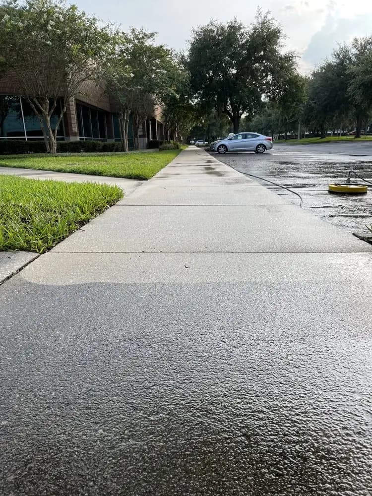 Driveway & Sidewalk Cleaning